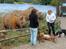 Aalborg Zoo 9/10-16