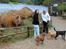 Aalborg Zoo 9/10-16
