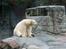 Aalborg Zoo 9/10-16