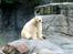 Aalborg Zoo 9/10-16