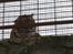 Aalborg Zoo 9/10-16