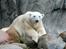 Aalborg Zoo 9/10-16