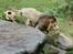 Aalborg Zoo 9/10-16