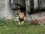 Aalborg Zoo 9/10-16