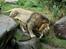 Aalborg Zoo 9/10-16
