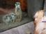 Aalborg Zoo 9/10-16