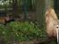 Aalborg Zoo 9/10-16