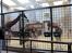 Aalborg Zoo 9/10-16