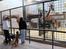 Aalborg Zoo 9/10-16