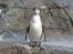 Aalborg Zoo 9/10-16