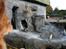 Aalborg Zoo 9/10-16