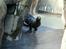 Aalborg Zoo 9/10-16