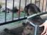 Aalborg Zoo 9/10-16