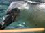 Aalborg Zoo 9/10-16
