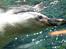 Aalborg Zoo 9/10-16