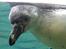 Aalborg Zoo 9/10-16