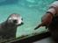 Aalborg Zoo 9/10-16