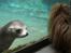 Aalborg Zoo 9/10-16