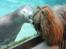 Aalborg Zoo 9/10-16