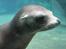 Aalborg Zoo 9/10-16