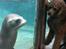 Aalborg Zoo 9/10-16