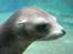 Aalborg Zoo 9/10-16