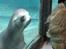 Aalborg Zoo 9/10-16