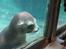 Aalborg Zoo 9/10-16