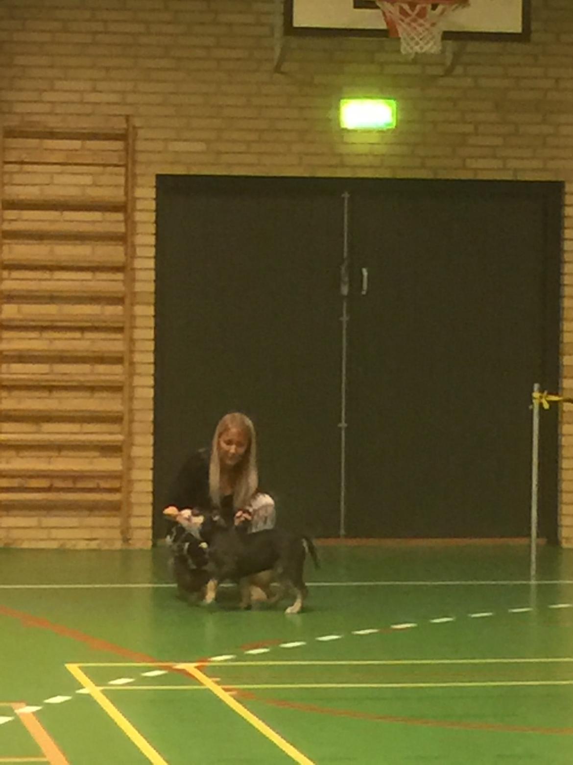 Mine bulderbasser? - På show med cleo?? billede 9