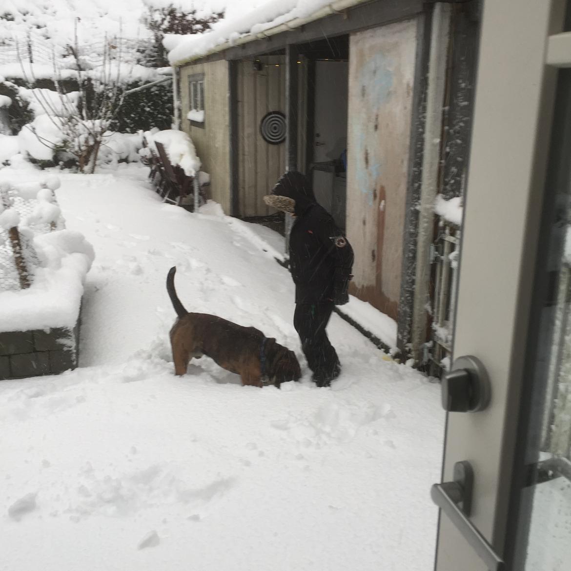 Mine bulderbasser? - Sne og leg i gården med ungerne og bulderfiserne???? billede 8