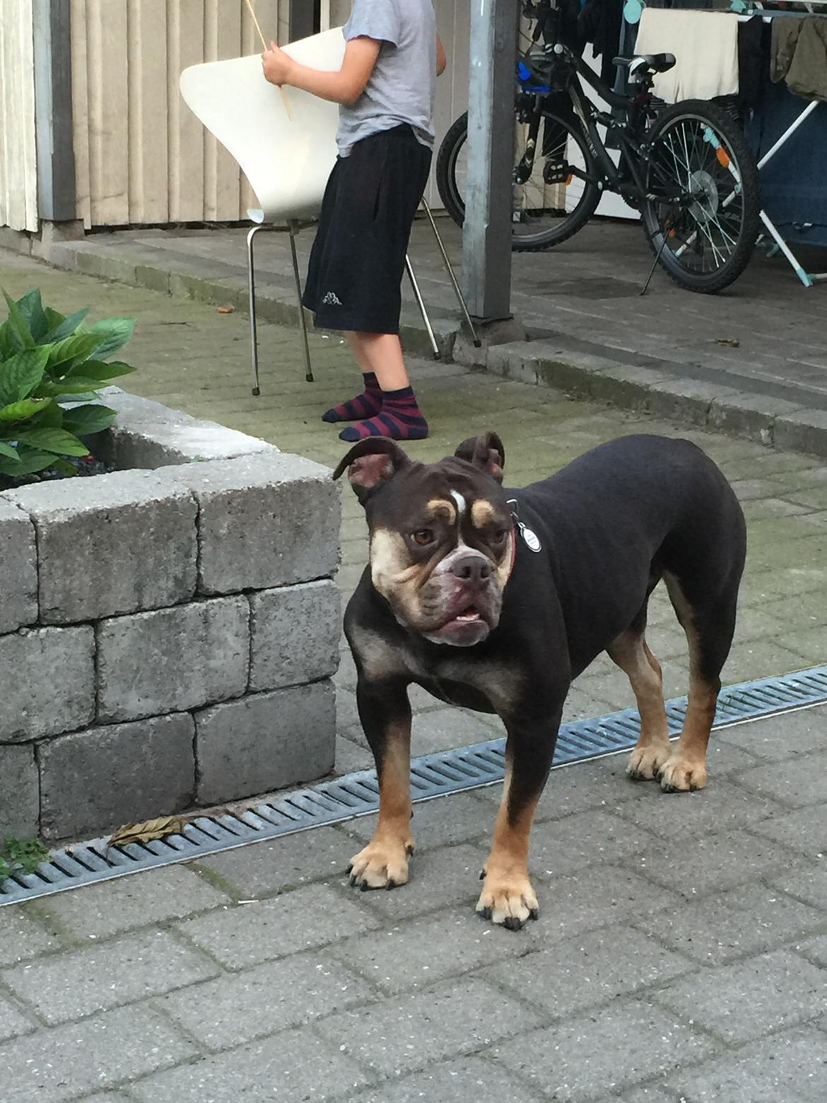 Mine bulderbasser? billede 16