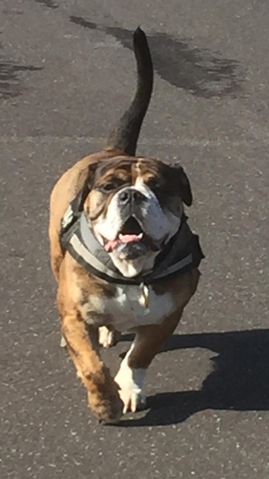 Mine bulderbasser? billede 19