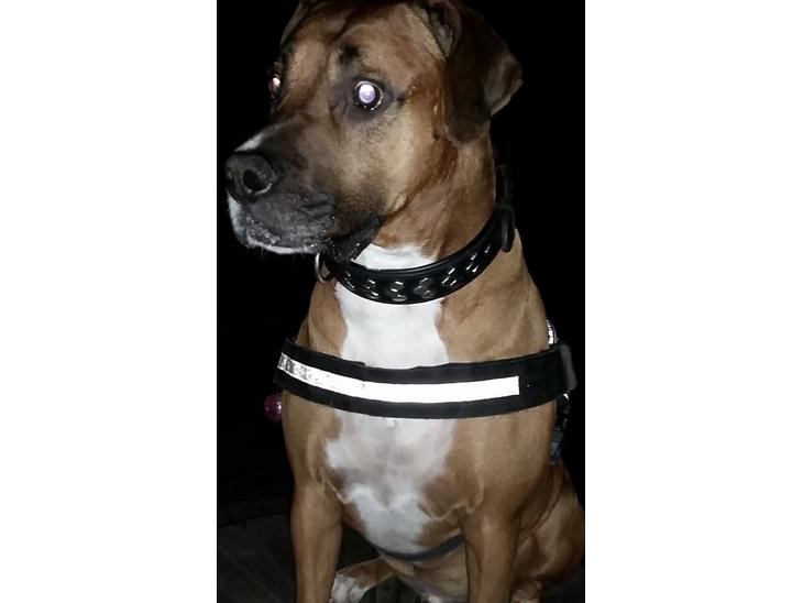 {{currentPhoto.altText}} billede {{currentPhoto.number}}