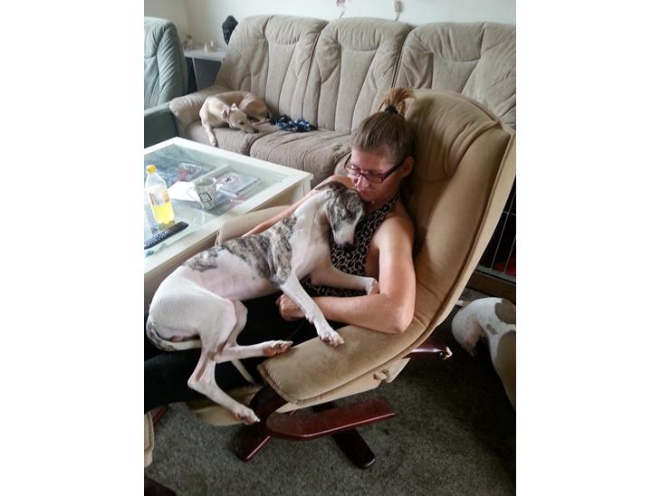 {{currentPhoto.altText}} billede {{currentPhoto.number}}