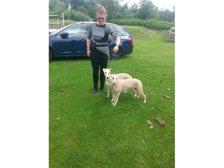 {{currentPhoto.altText}} billede {{currentPhoto.number}}