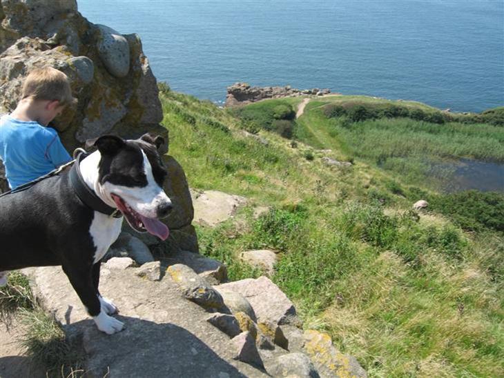 {{currentPhoto.altText}} billede {{currentPhoto.number}}