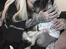 Marley, Jax, & Sully's mor & far :)