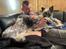 Marley, Jax, & Sully's mor & far :)