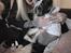 Marley, Jax, & Sully's mor & far :)