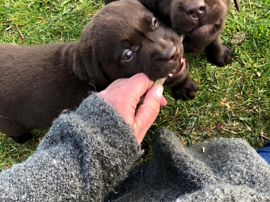 Buffy og nogle af hendes venner
