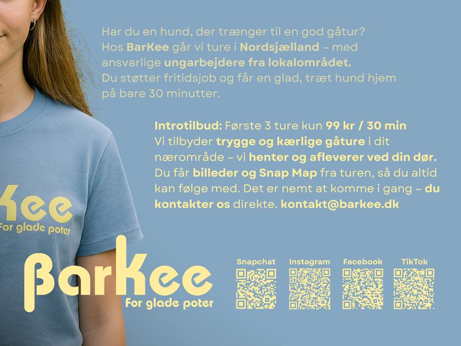Hundeluftning i Nordsjælland – BarKee tilbyder trygge ture