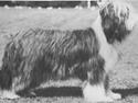 Kennel Shepherdess