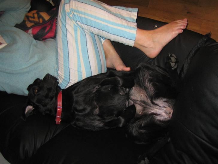 Freja - Jeg elsker at putte med mor på sofaen... billede 11