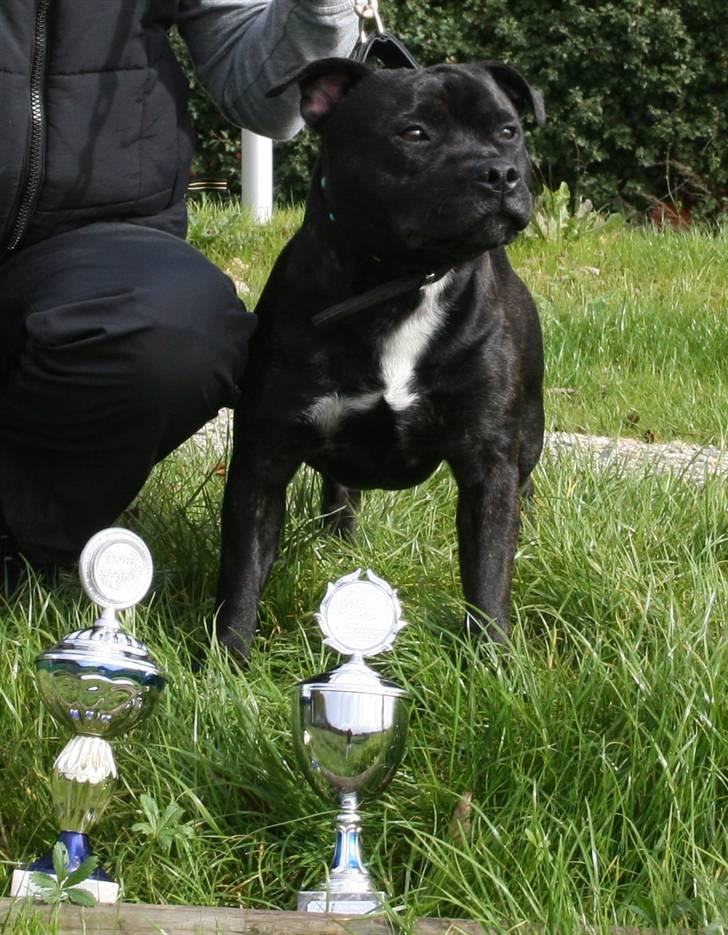 Devil og Nasty - Nasty med sine pokaler billede 36