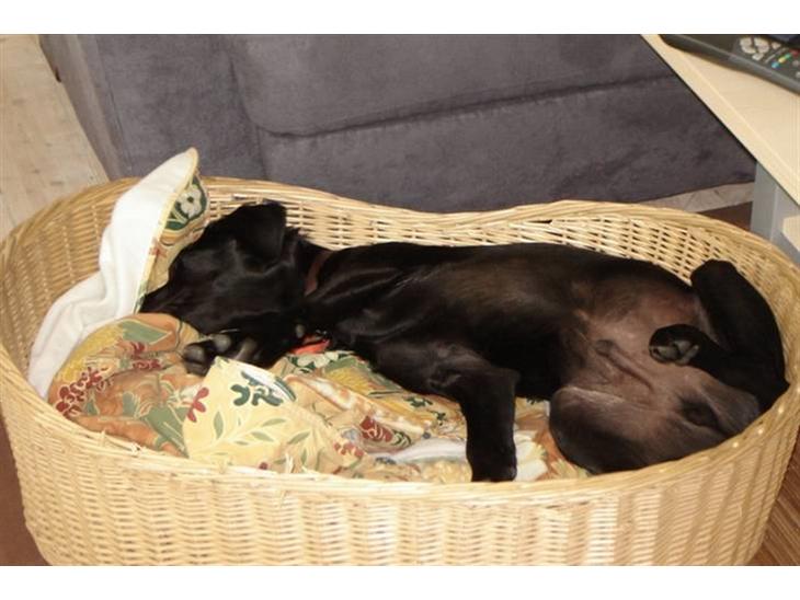 {{currentPhoto.altText}} billede {{currentPhoto.number}}