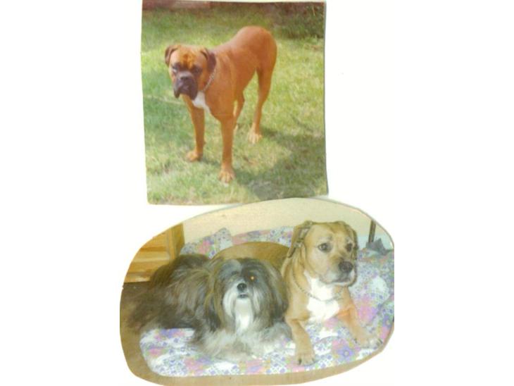 {{currentPhoto.altText}} billede {{currentPhoto.number}}