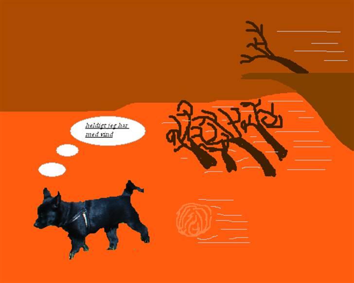 Lav selv - Nogle tror at hunde er dukker som skal have tøj og sko på og andre tror at en hund bare er en hund men jeg tror noget andet jeg tror at Aske min hund kan klare hvad som helst hvor som helst og hvornår som helst(lavet af Annalouise m Aske) billede 2