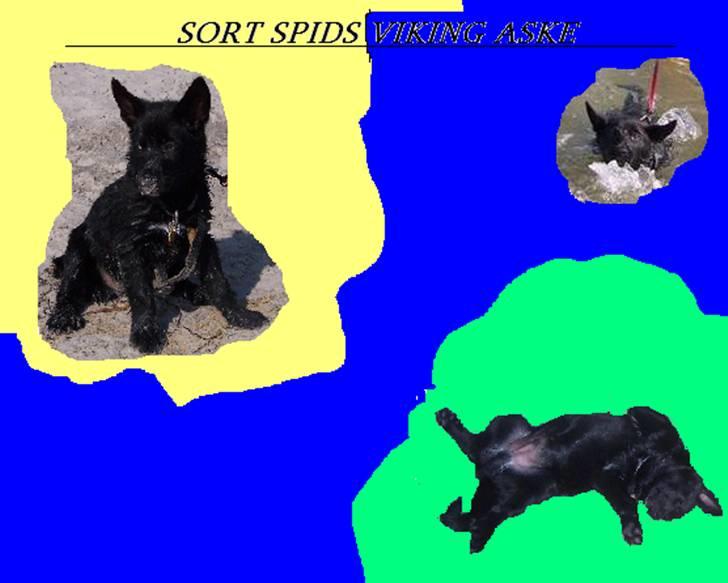 Lav selv - Lige meget hvor jeg er på jordkloden kan jeg se Aske for mig(lavet af Annalouise m Aske) billede 1