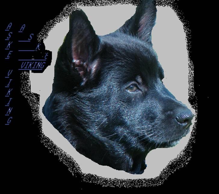 Lav selv - Aske vil altid være den bedste  Aske viking (lavet af Annalouise m Aske) billede 4