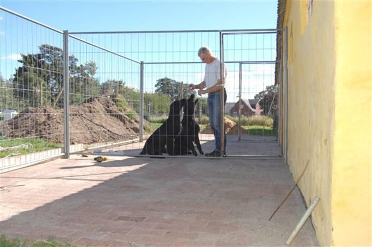 Hundebokse & løbegårde - D 04.09.07 - Første løbegård er sat op. billede 11